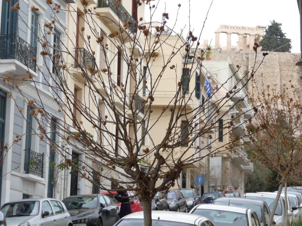 Urban Retreat Under the Acropolis - image 4