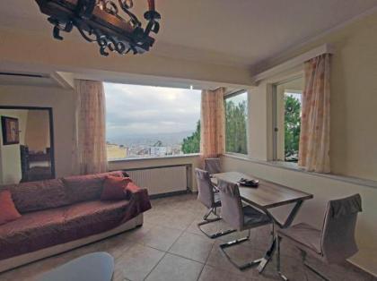 Private pool & Panorama View on Athens center Hill - image 17