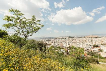 Splendid Views from a Cozy Cottage with a Garden  - image 20