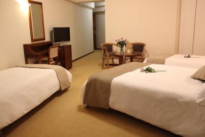 Golden Sun Hotel - image 11