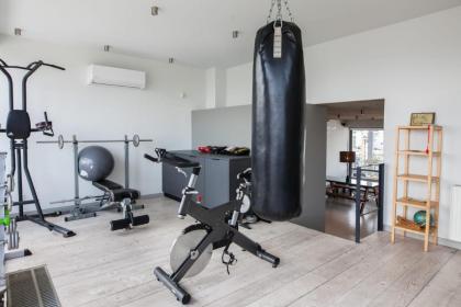 Penthouse with 360 View of Athens and Private Gym - image 7