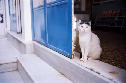 Stunning Athens Apartment - AA Junior Suite - Historic Central Location - City Views - Psyrri - image 17